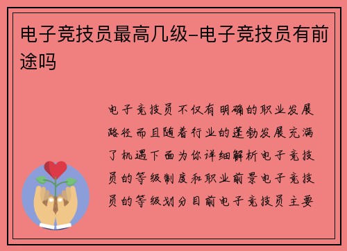 电子竞技员最高几级-电子竞技员有前途吗